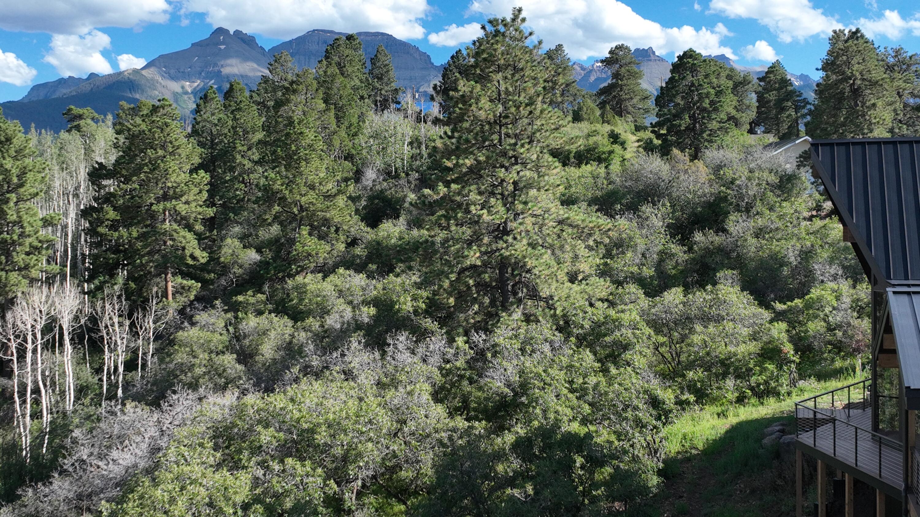 10 Valley View Road Ridgway, CO 81432 - Photo 31 of 33 a view of a forest with a houses