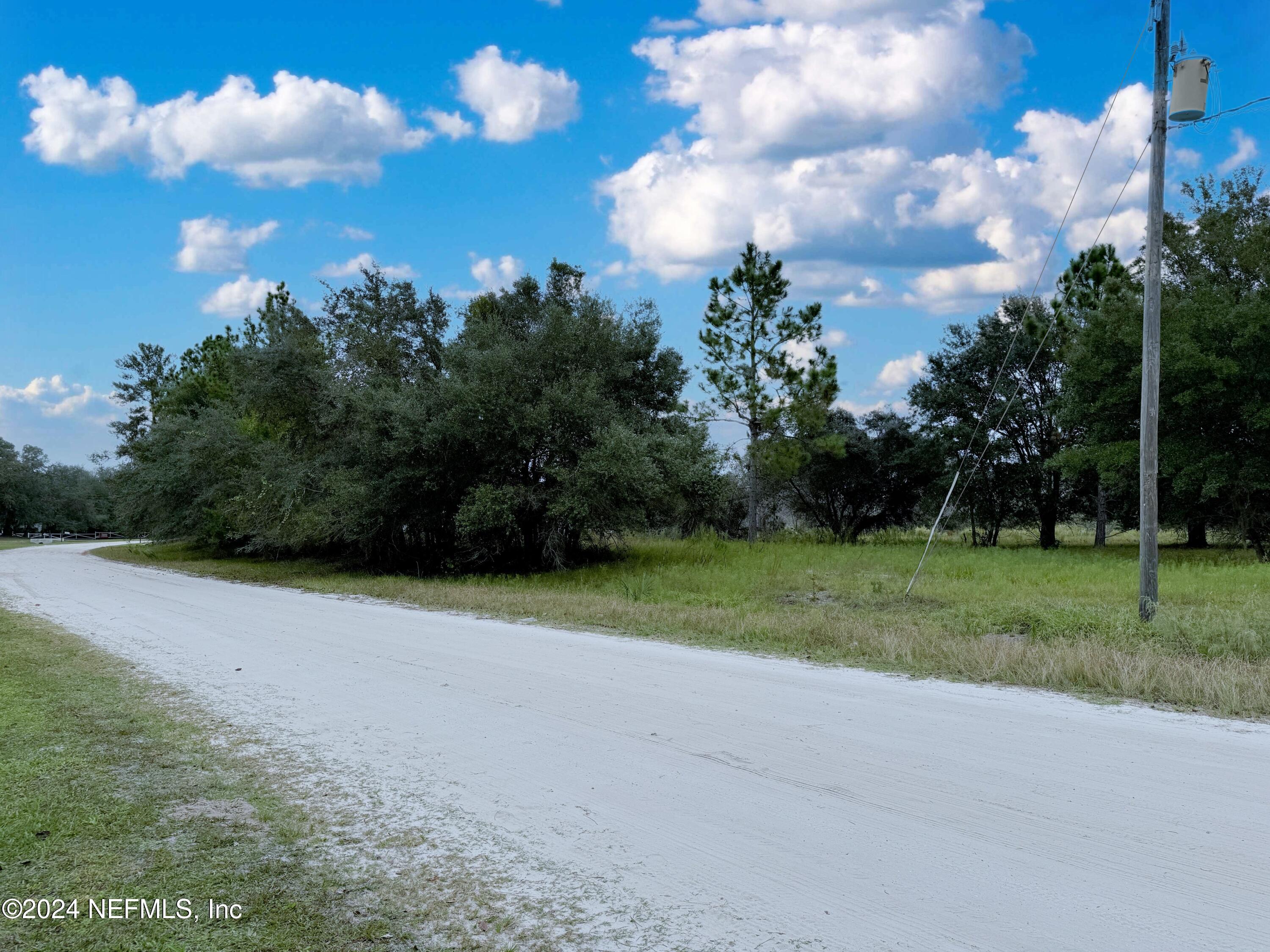 116 Osceola Road Georgetown, FL 32139 - Photo 11 of 19 a view of a field with of trees in the background
