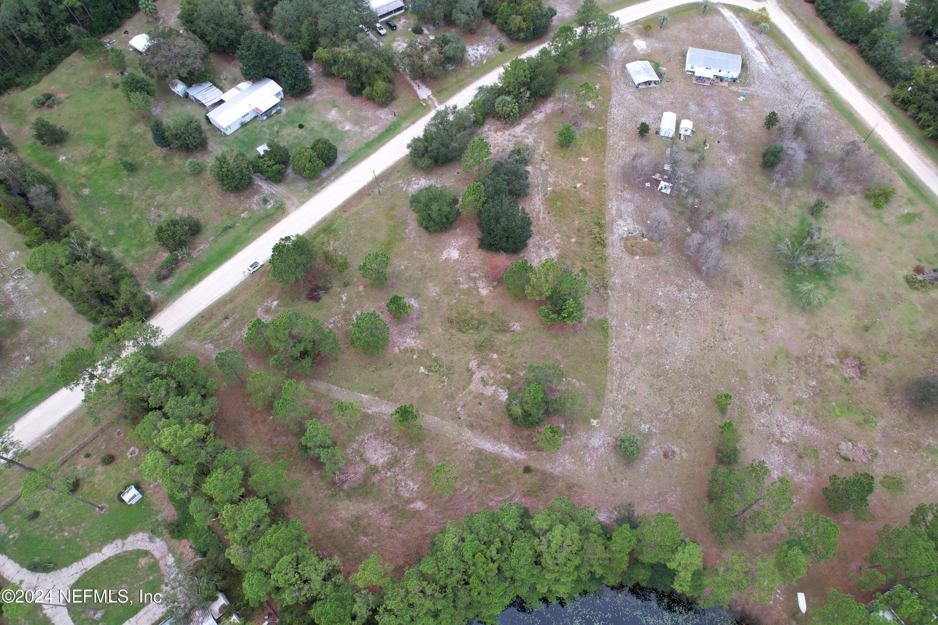 116 Osceola Road Georgetown, FL 32139 - Photo 6 of 19 a view of a flower