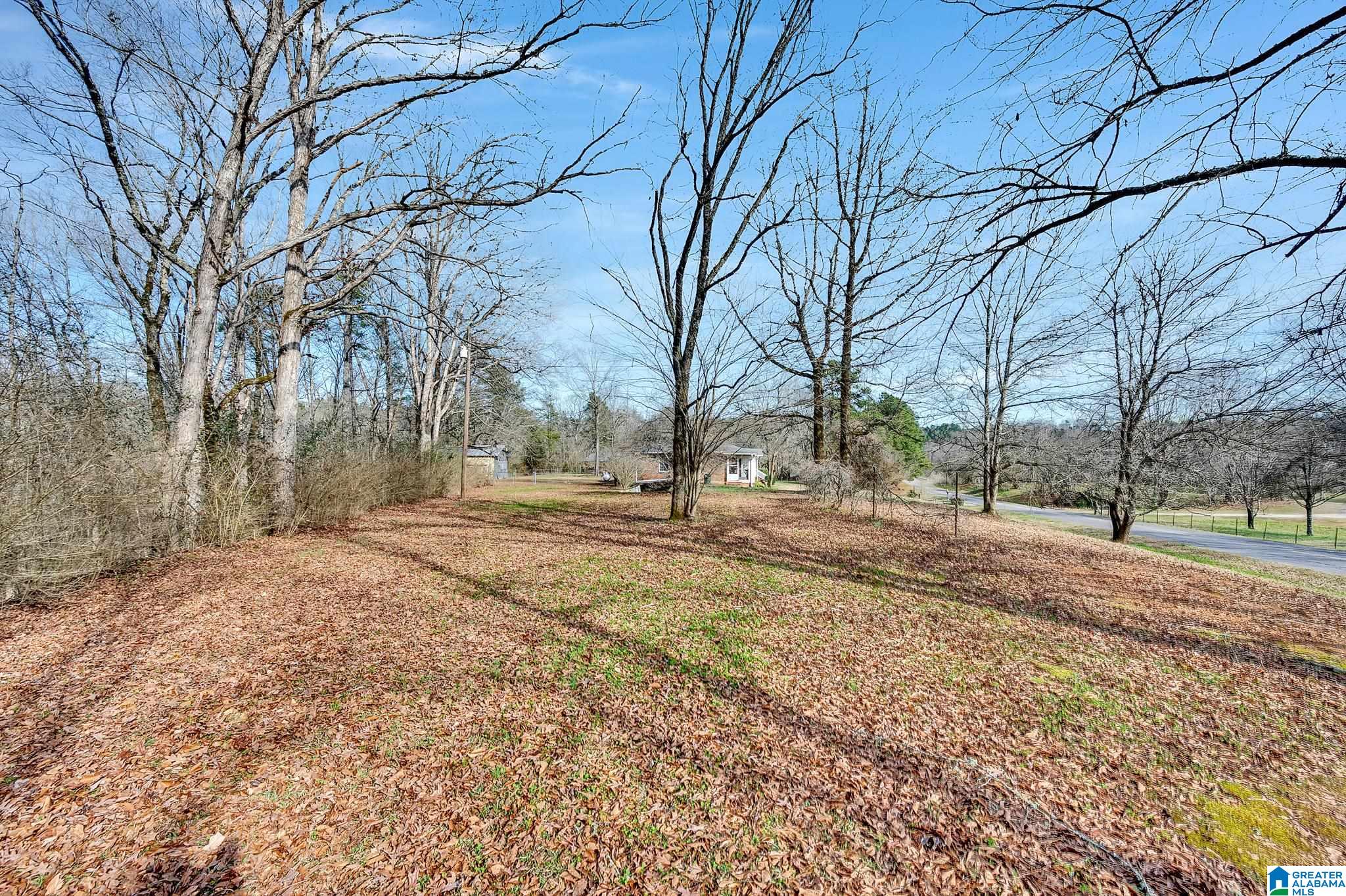 4981 Snowville Brent Road Dora, AL 35062 - Photo 25 of 36 Gallery Image 25