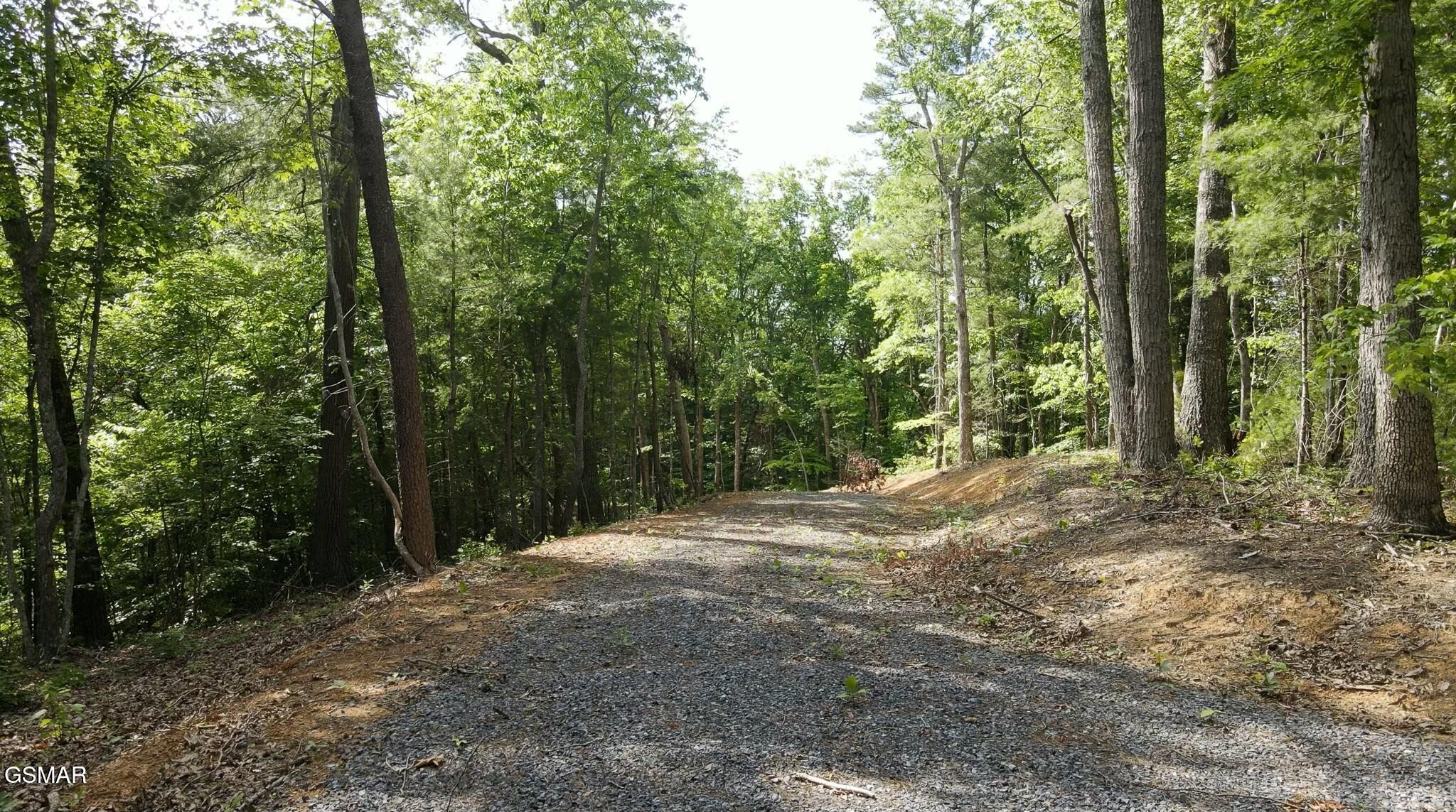 0 Little Bear Road Cosby, TN 37722 - Photo 10 of 46 Gallery Image 10
