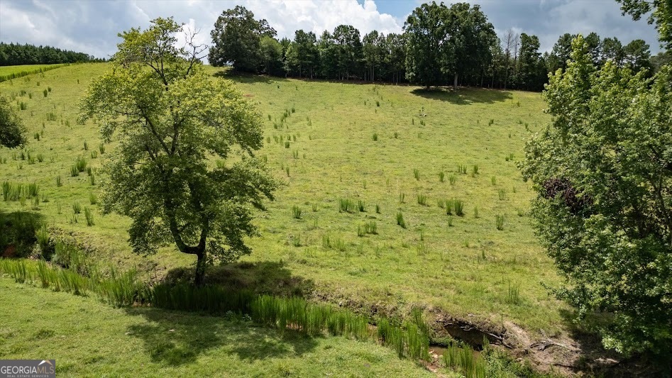 0 County Road 19 Heflin, AL 36264 - Photo 30 of 36