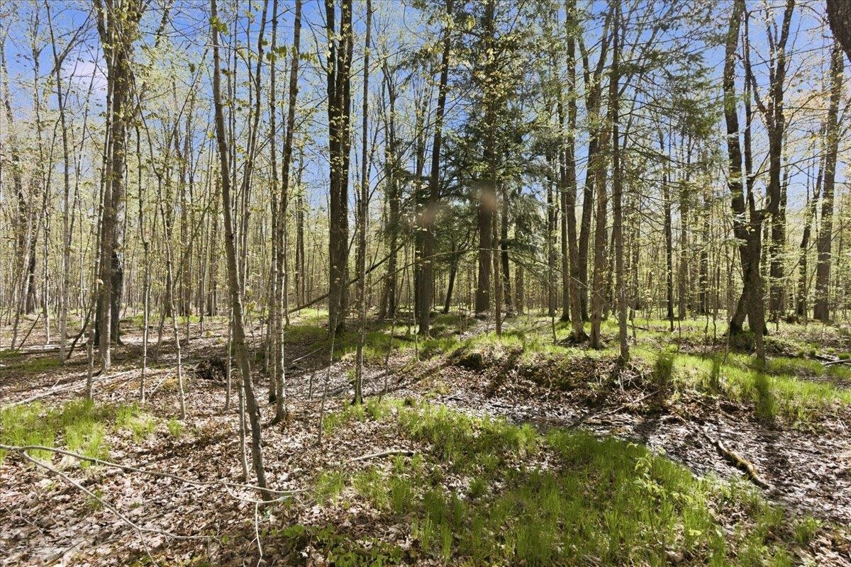 W585 Strucker Road Ogema, WI 54459 - Photo 18 of 55