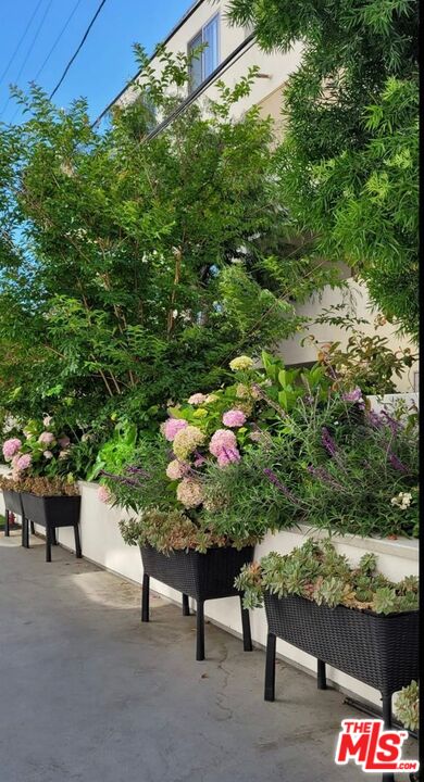 1237 South Holt Avenue, Unit 205 Los Angeles, CA 90035 - Photo 27 of 29 a tree with green field