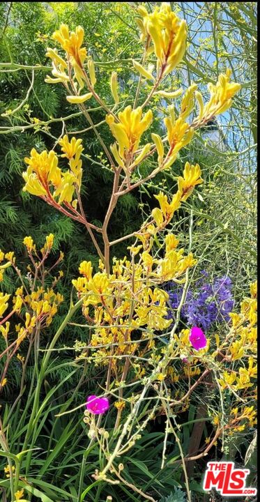 1237 South Holt Avenue, Unit 205 Los Angeles, CA 90035 - Photo 29 of 29