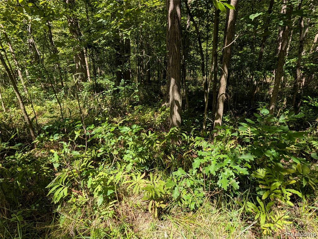 0 South Maywood Road Ashley, MI 48806 - Photo 25 of 32