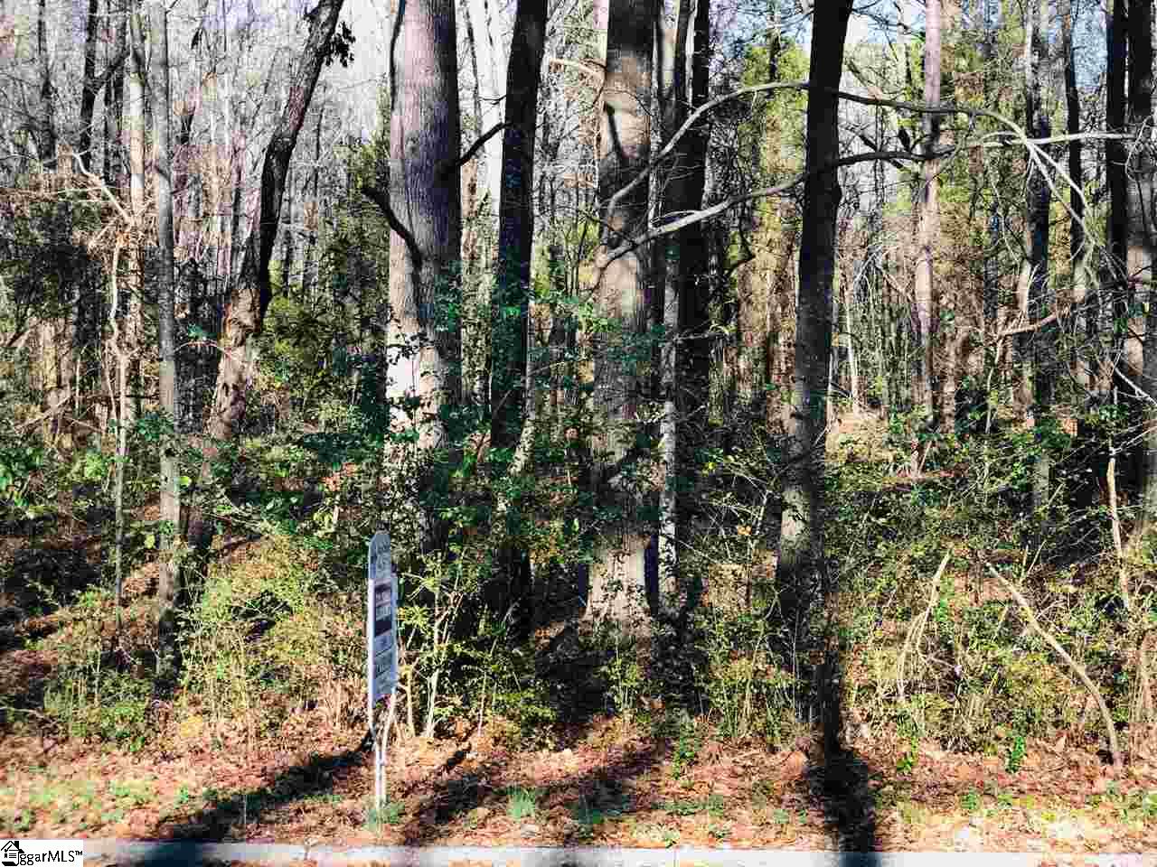 124 Greybridge Road Pelzer, SC 29669 - Photo 1 of 1