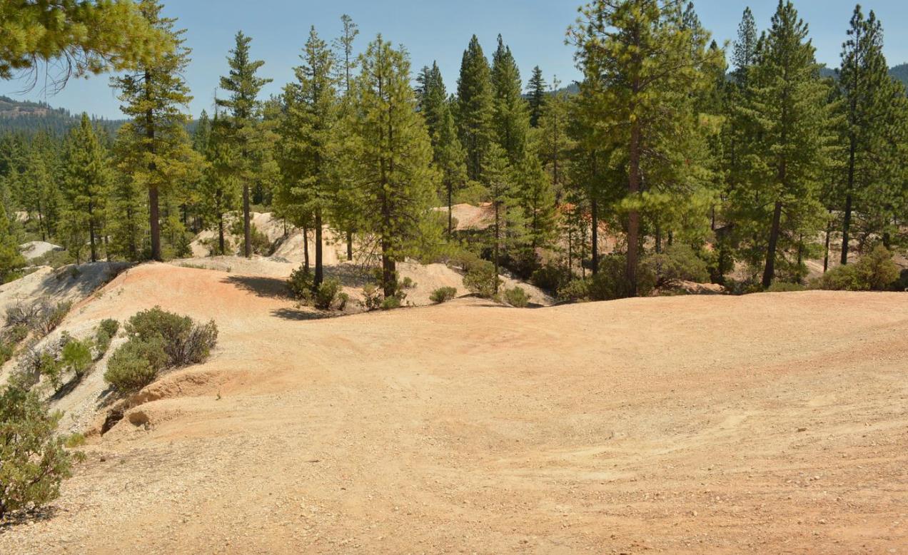 13676 Sailor Flat Road Nevada City, CA 95959 - Photo 12 of 47