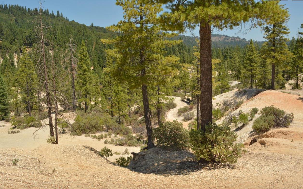 13676 Sailor Flat Road Nevada City, CA 95959 - Photo 13 of 47