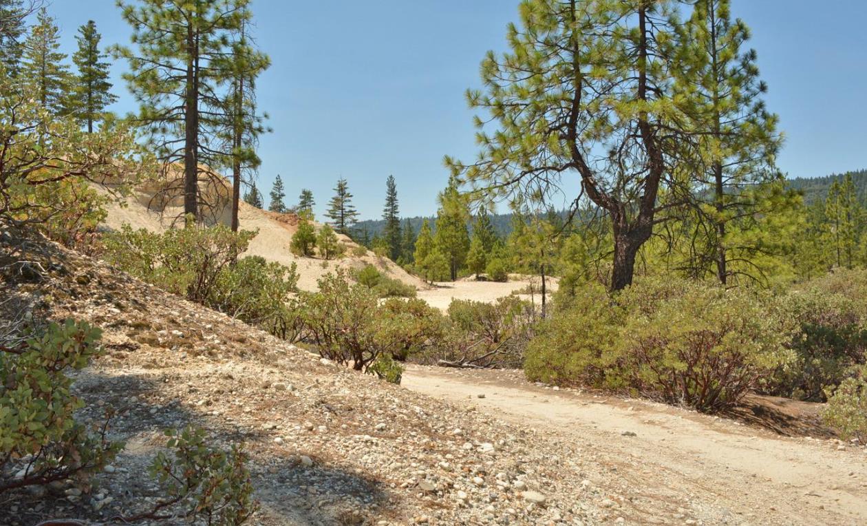 13676 Sailor Flat Road Nevada City, CA 95959 - Photo 14 of 47