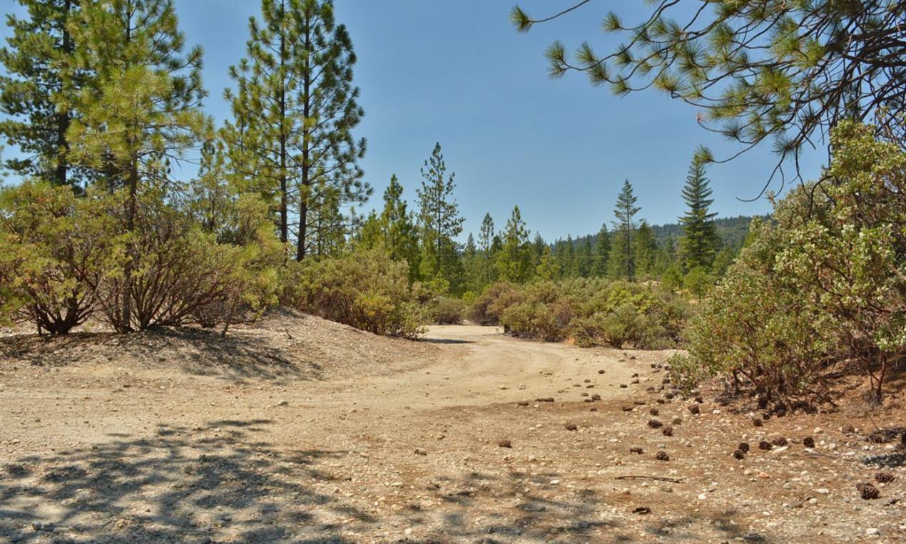 13676 Sailor Flat Road Nevada City, CA 95959 - Photo 15 of 47