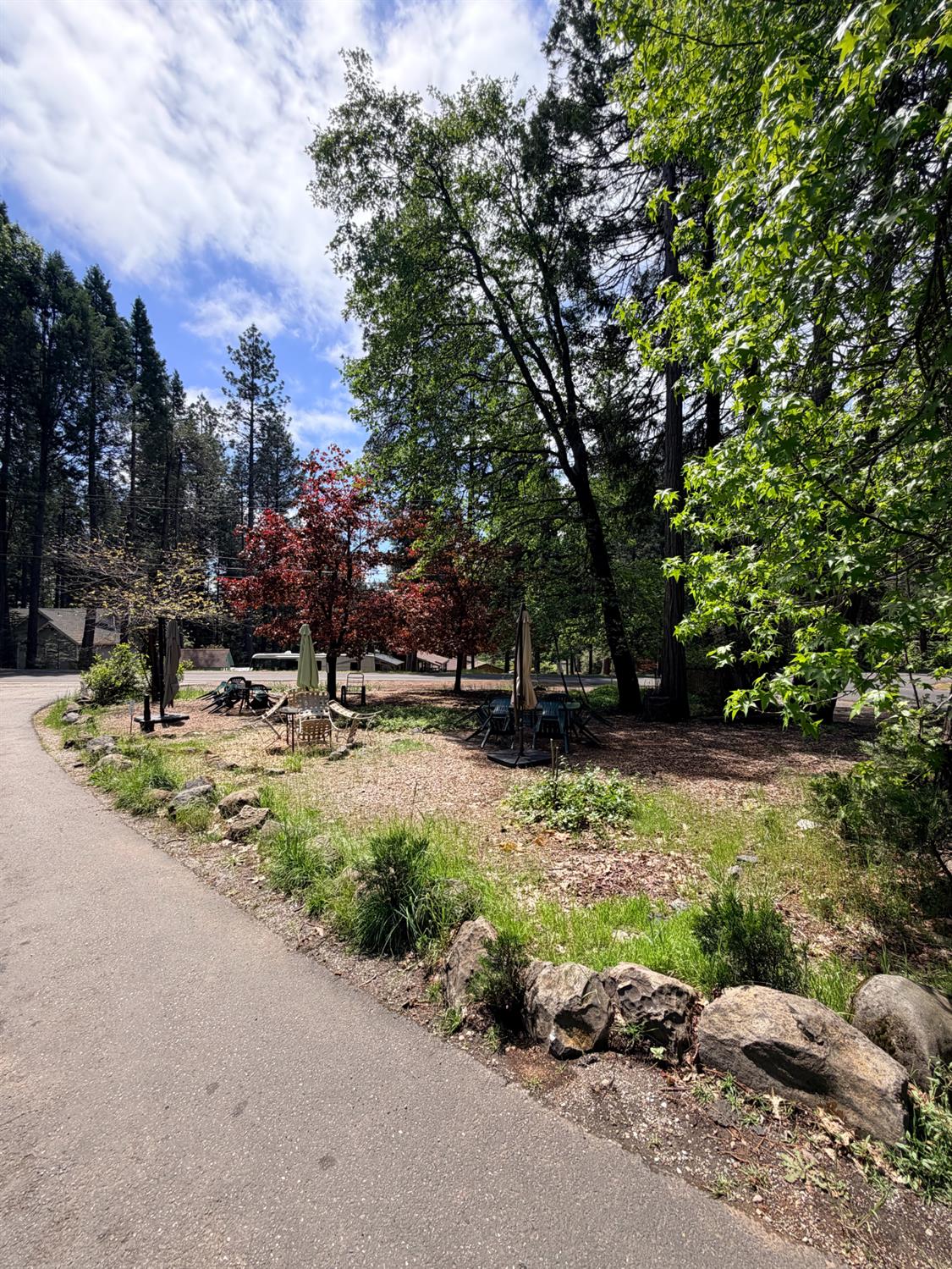 13676 Sailor Flat Road Nevada City, CA 95959 - Photo 26 of 47