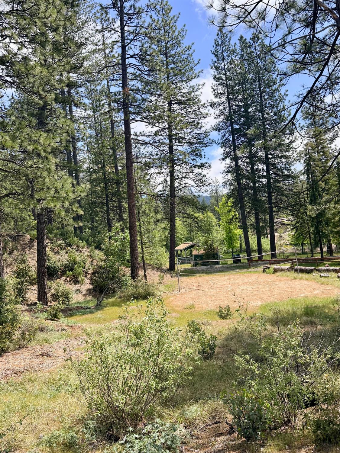 13676 Sailor Flat Road Nevada City, CA 95959 - Photo 30 of 47