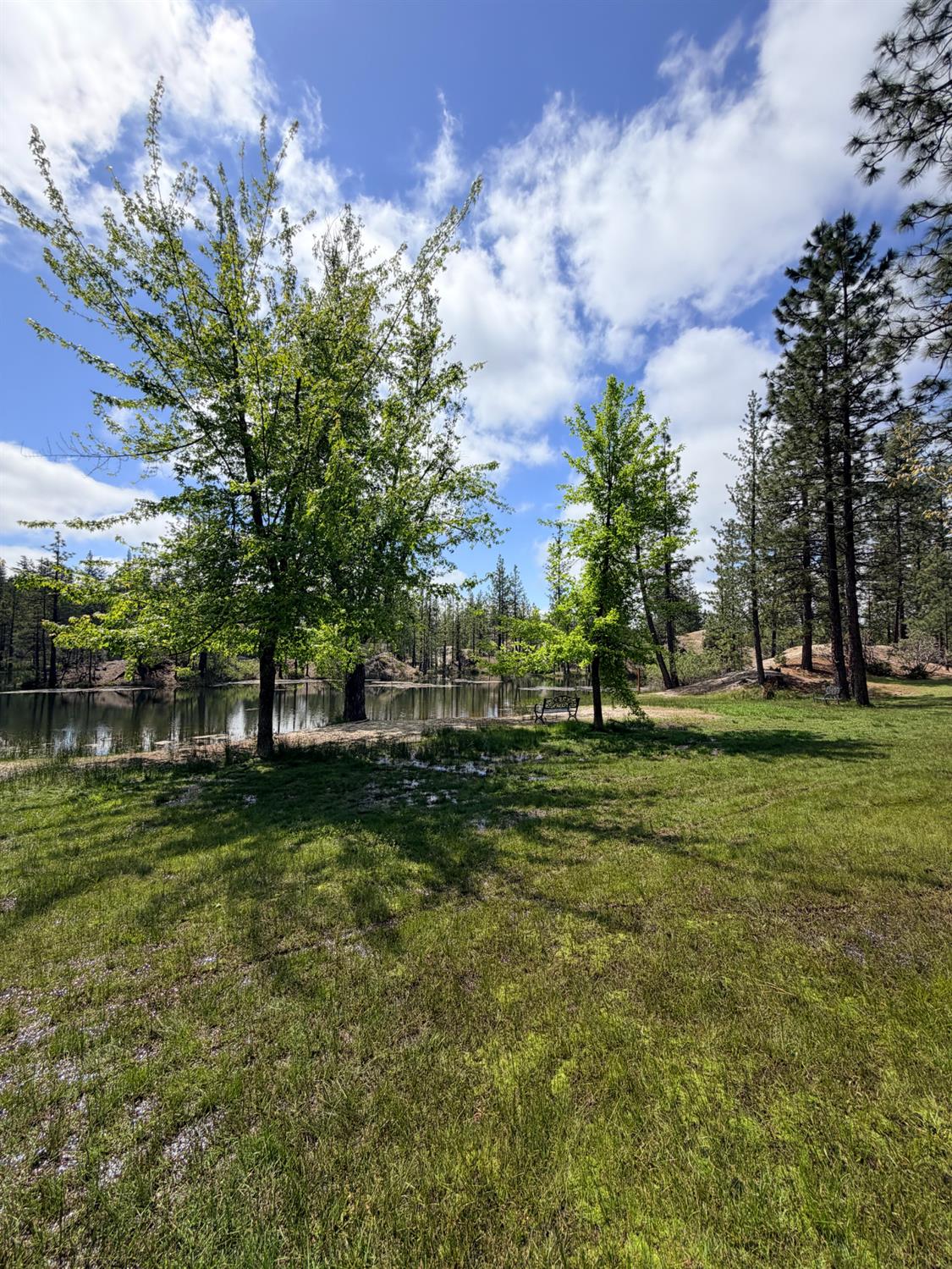 13676 Sailor Flat Road Nevada City, CA 95959 - Photo 32 of 47