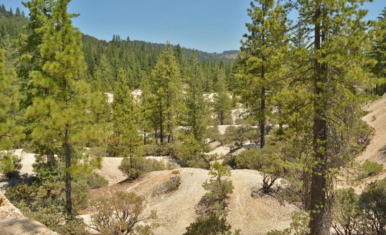 13676 Sailor Flat Road Nevada City, CA 95959 - Photo 8 of 47