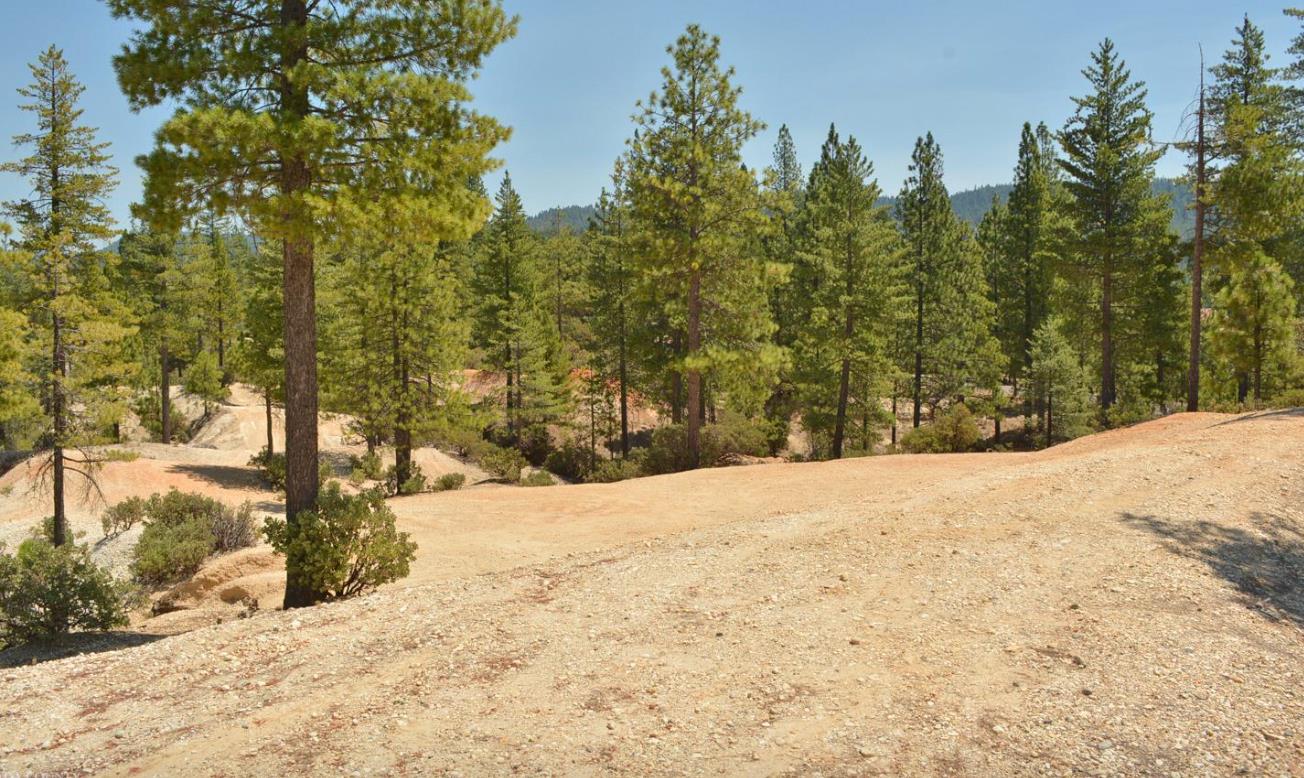 13676 Sailor Flat Road Nevada City, CA 95959 - Photo 10 of 47