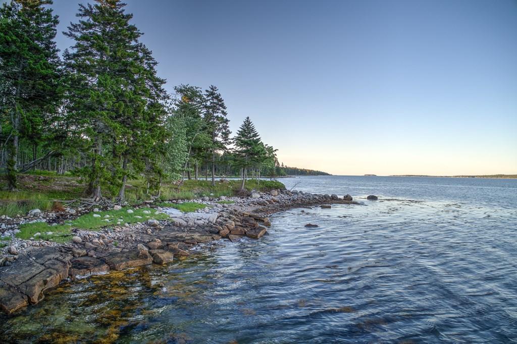 246 Estates Road Steuben, ME 04680 - Photo 30 of 30 Looking at the properties shoreline.