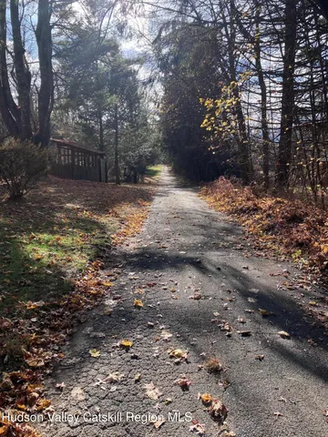 a view of a yard with a tree
