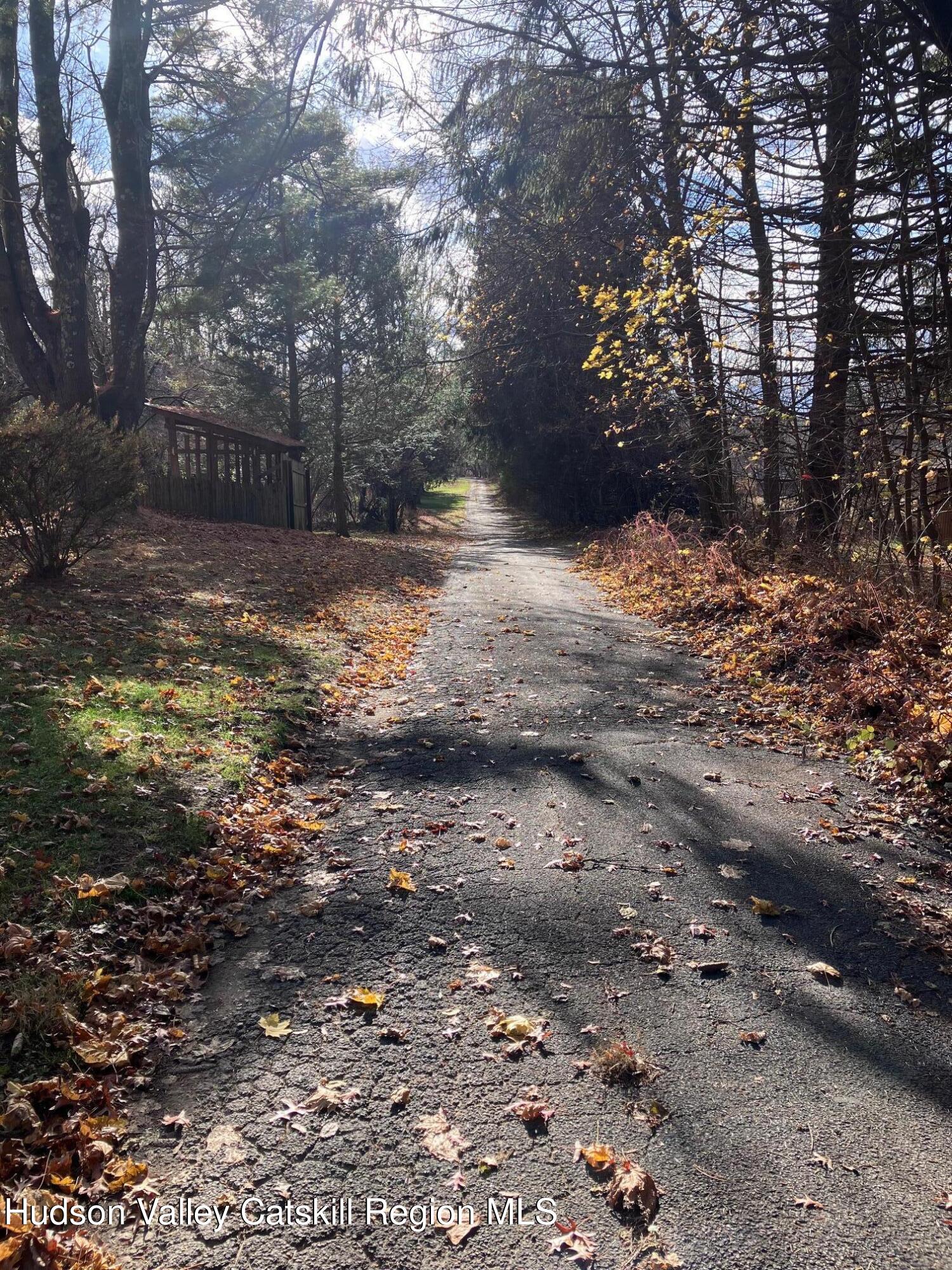 20 Van Orden Road Milton, NY 12547 - Photo 3 of 29 a view of a yard with a tree