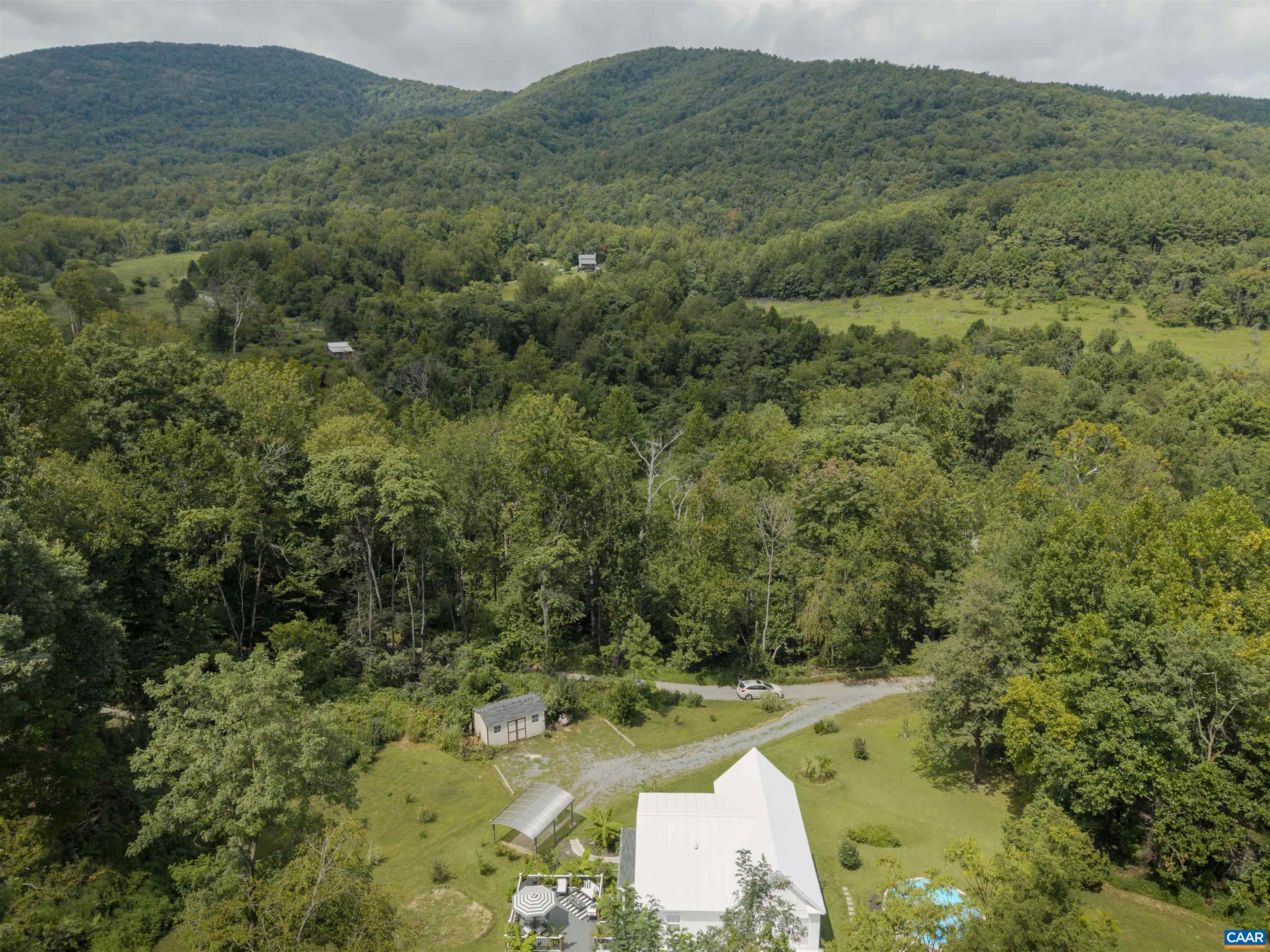 5860 Bearwood Road Crozet, VA 22932 - Photo 53 of 67 a view of a forest with a sink