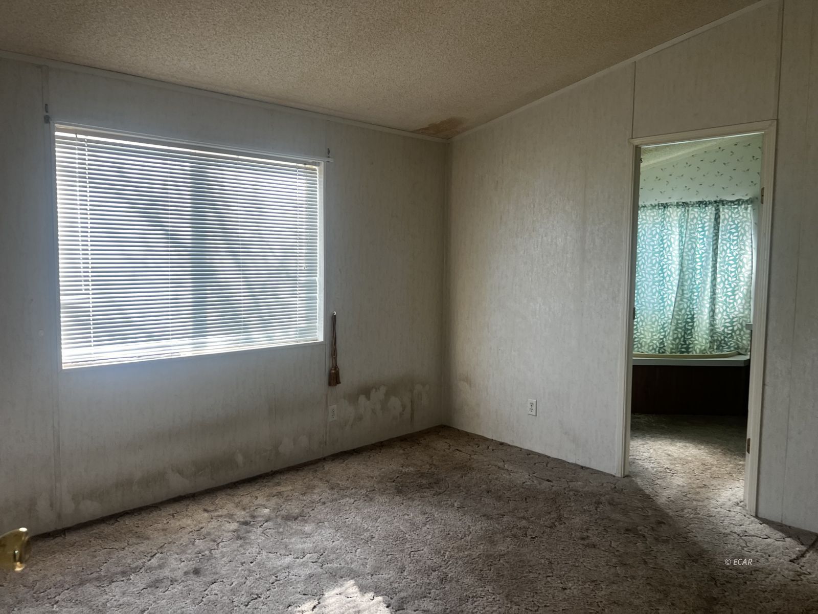 2844 Hummingbird Street Spring Creek, NV 89815 - Photo 43 of 49