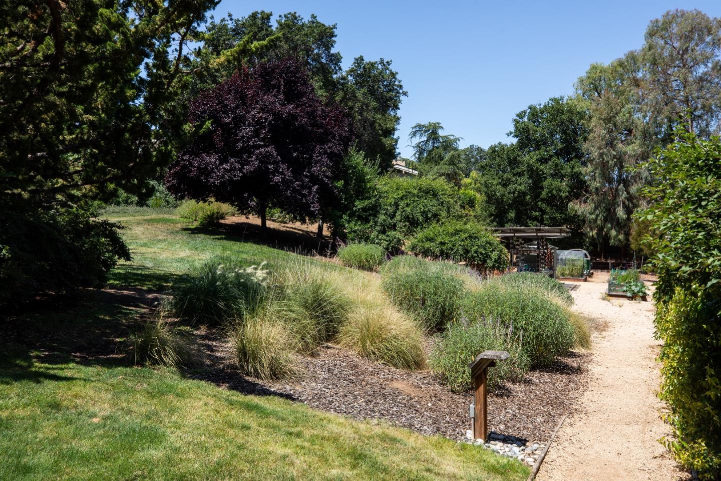 2 Farm Road Los Altos, CA 94024 - Photo 19 of 23 a backyard of a house with lots of green space
