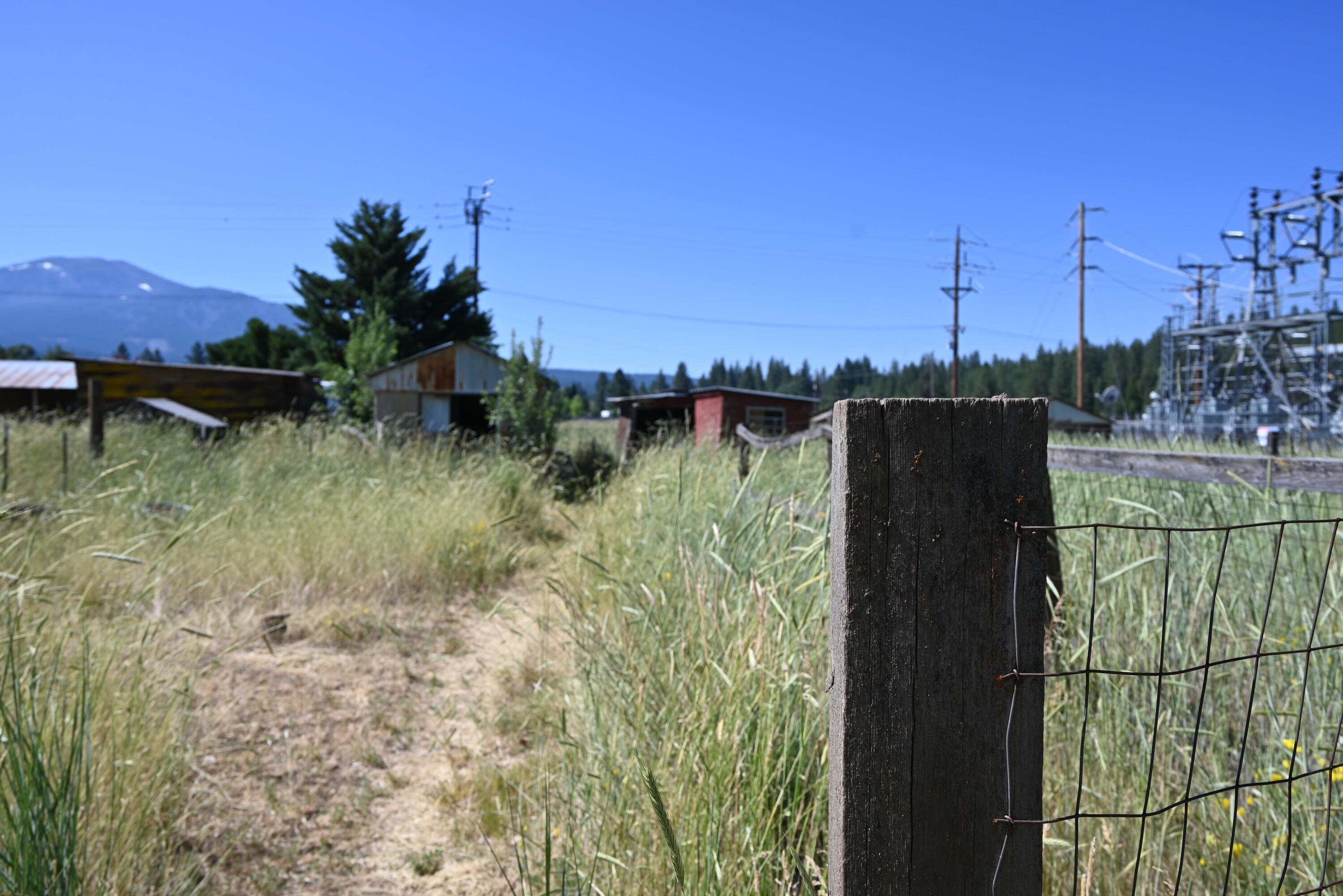 37013 Gunsmith Way Burney, CA 96013 - Photo 4 of 5 2025-06-18 14.14.42