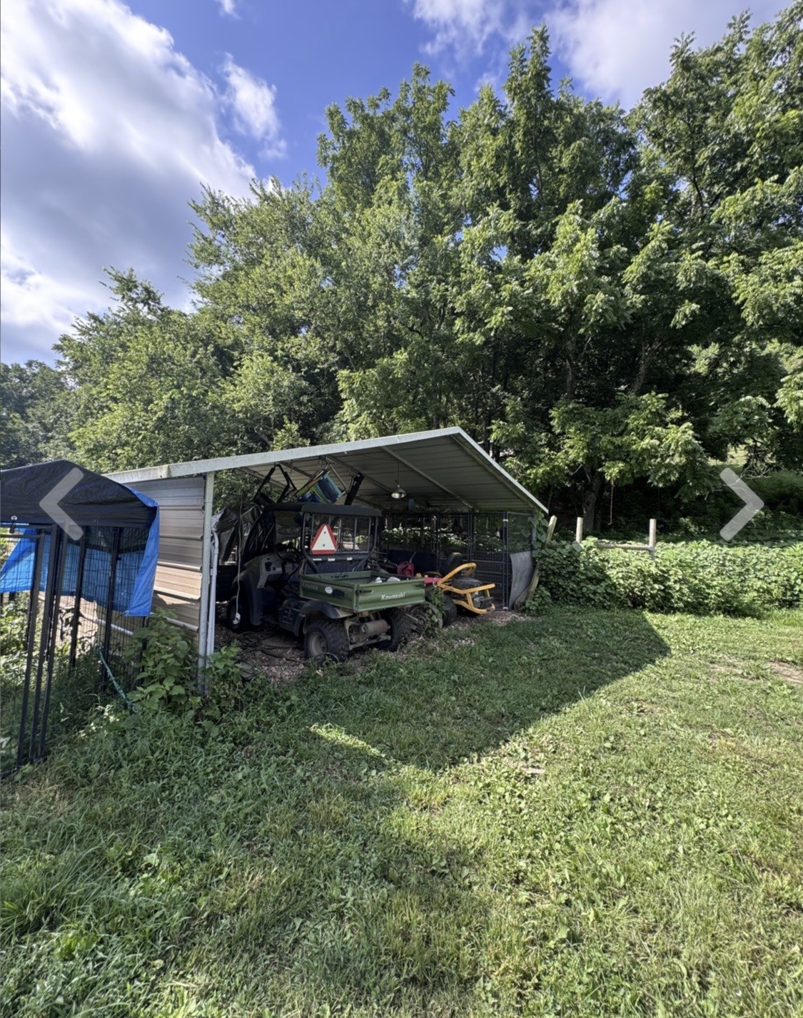 3310 Dog Branch Road Prospect, TN 38477 - Photo 26 of 49 a view of a yard in front of a house with plants and large trees