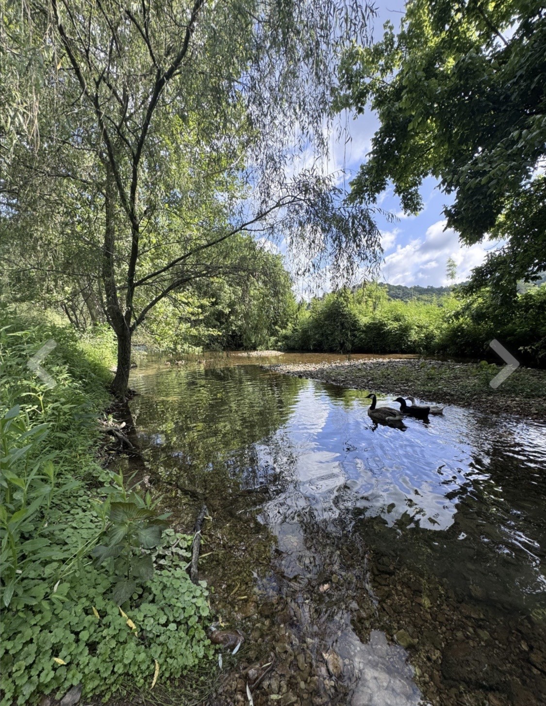 3310 Dog Branch Road Prospect, TN 38477 - Photo 28 of 49 a view of a lake with houses in the back