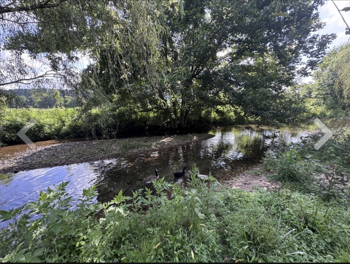 3310 Dog Branch Road Prospect, TN 38477 - Photo 29 of 49