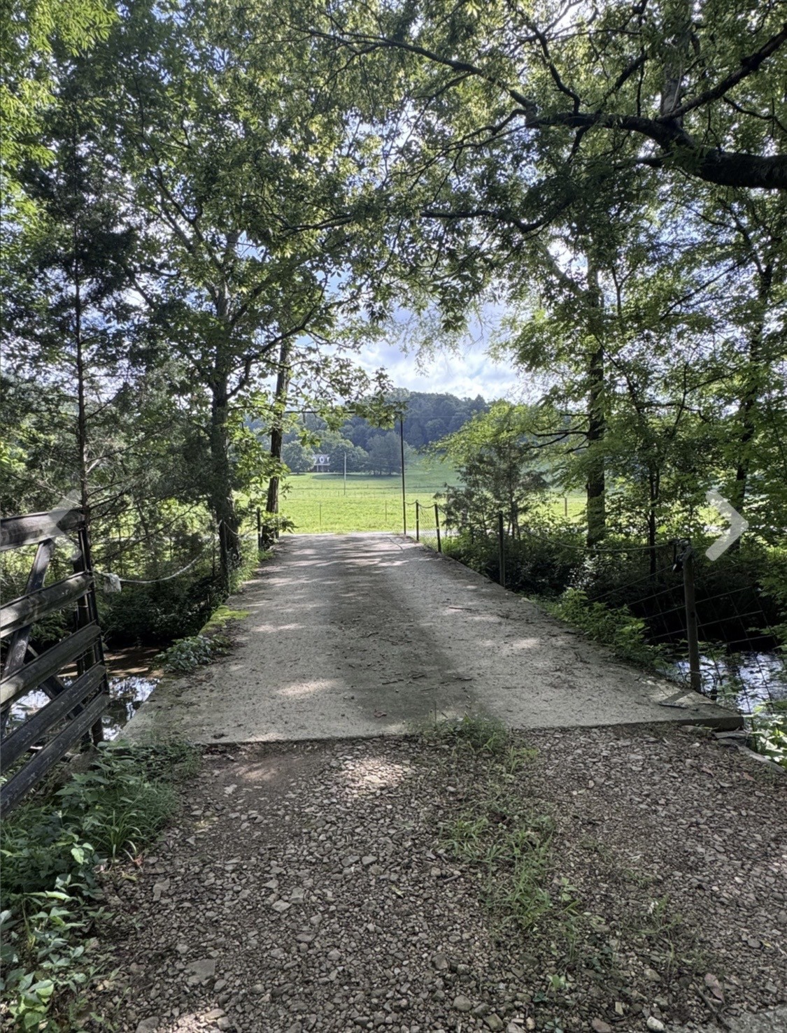 3310 Dog Branch Road Prospect, TN 38477 - Photo 35 of 49 a view of a park with large trees