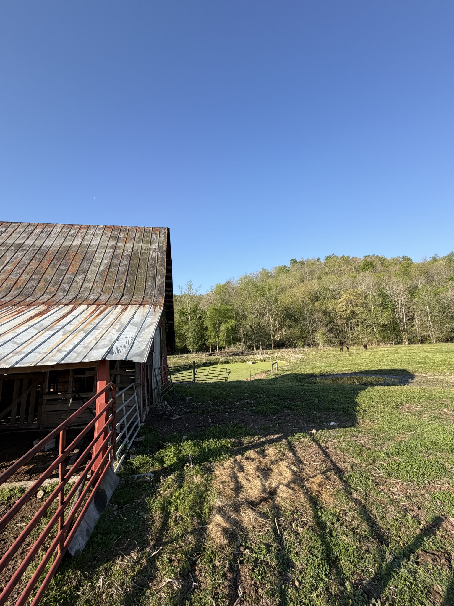3310 Dog Branch Road Prospect, TN 38477 - Photo 52 of 94