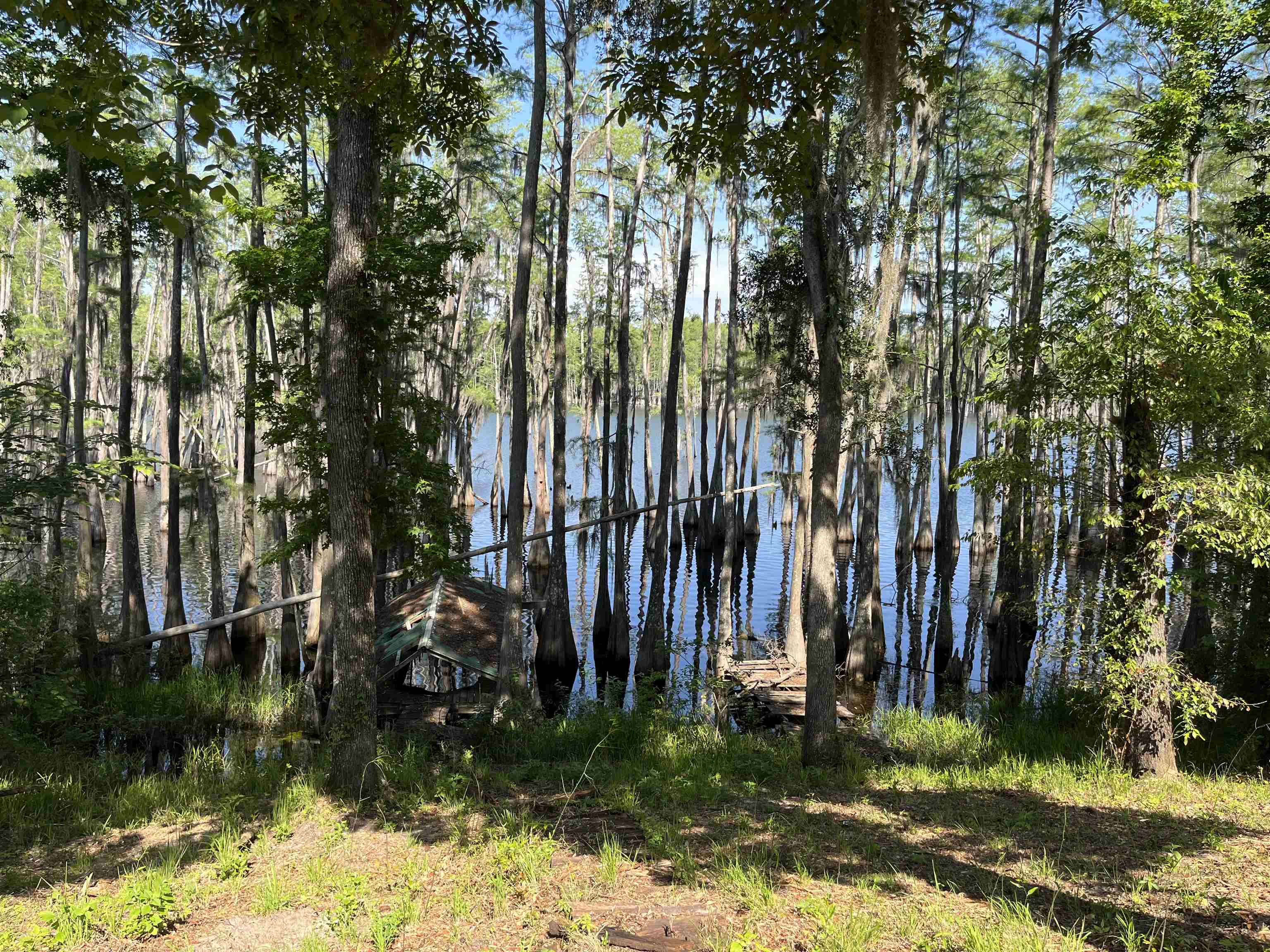 1309 Pond Lane Grand Ridge, FL 32442 - Photo 1 of 29 Gallery Image 1