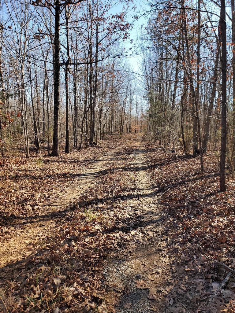 Sheltons Store Road Wingina, VA 24599 - Photo 1 of 2 Gallery Image 1