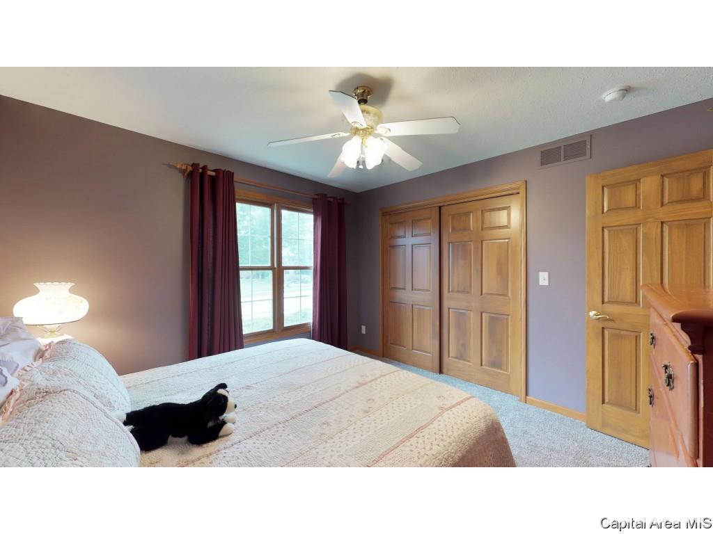 6844 Ninebark Drive Springfield, IL 62712 - Photo 18 of 32