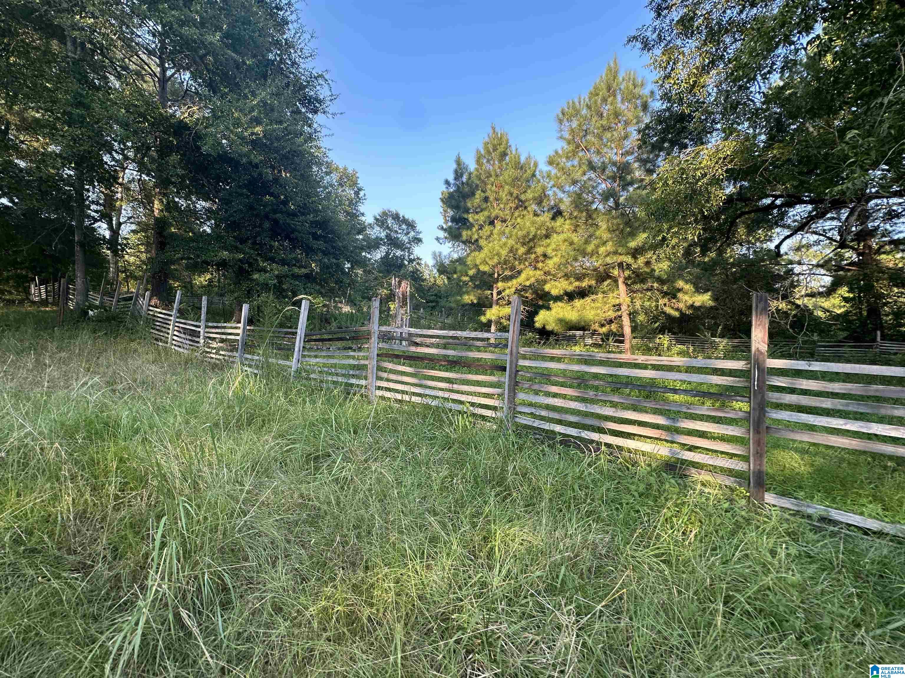 0 Honeycut Road Randolph, AL 36792 - Photo 25 of 29