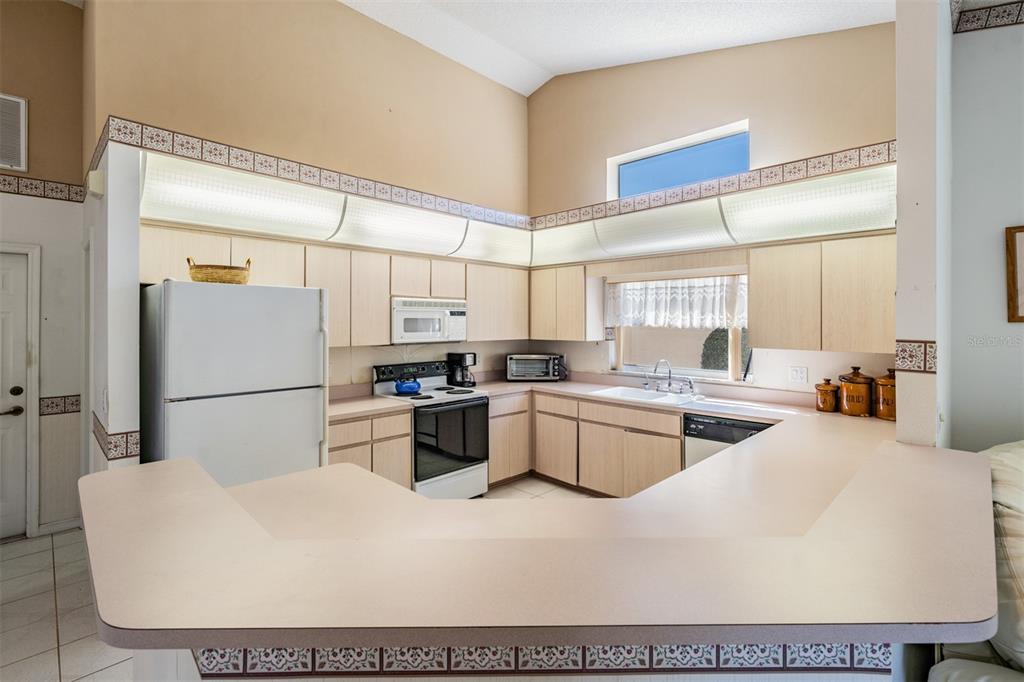 9641 Springmeadow Drive New Port Richey, FL 34655 - Photo 7 of 49 Gallery Image 7