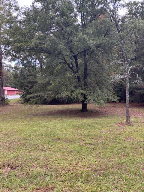 114 Highway 10 McCormick, SC 29835 - Photo 15 of 15
