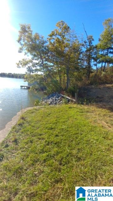 160 Holiday Estates Road, Unit 1 Ashville, AL 35953 - Photo 5 of 11