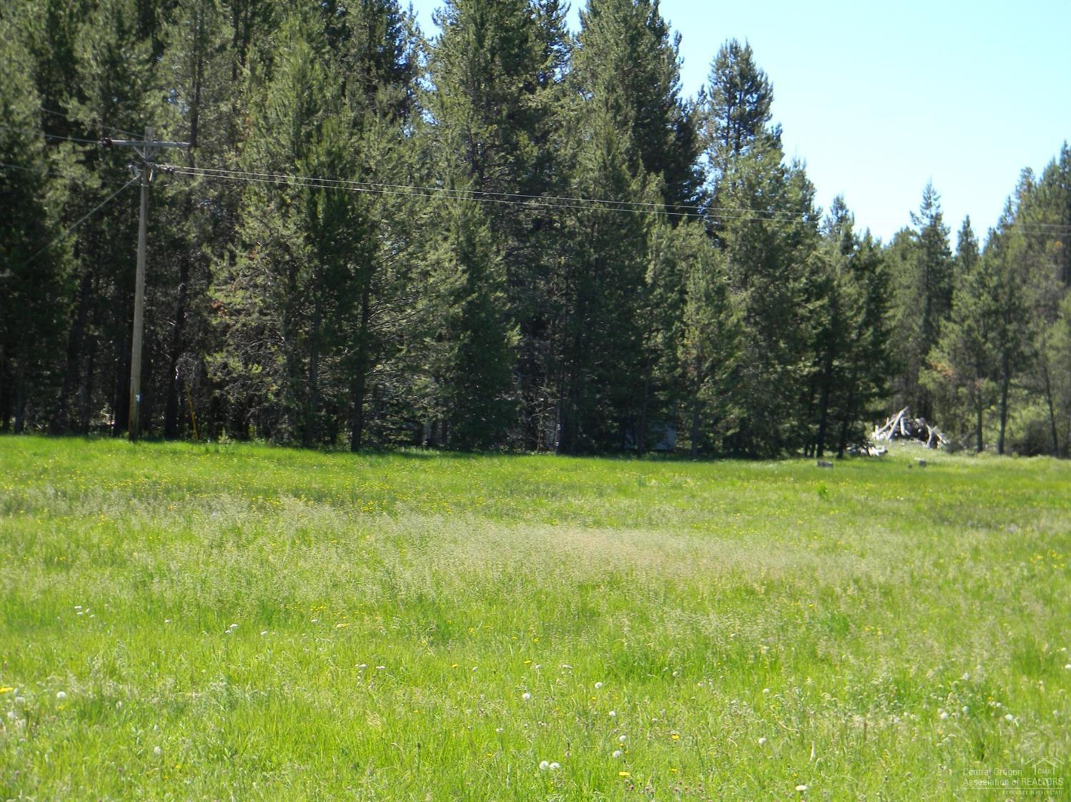 16999 Downey Road Bend, OR 97707 - Photo 5 of 7 Additional Photo
