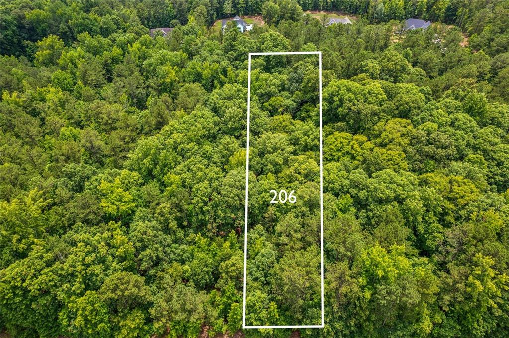 206 Crescent Drive Forsyth, GA 31029 - Photo 2 of 7