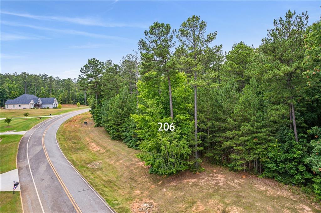 206 Crescent Drive Forsyth, GA 31029 - Photo 6 of 7