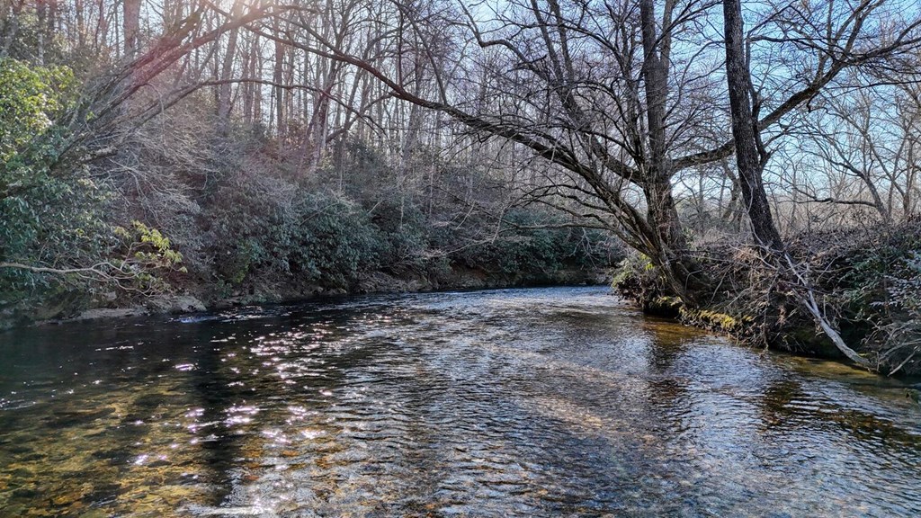 578 Jimmy Nicholson Road Blairsville, GA 30512 - Photo 12 of 39 Gallery Image 12