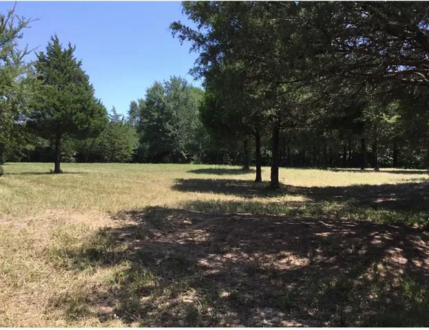 a big yard with lots of green space and house
