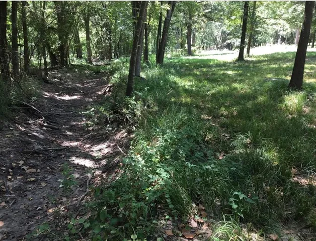 a view of outdoor space with trees all around