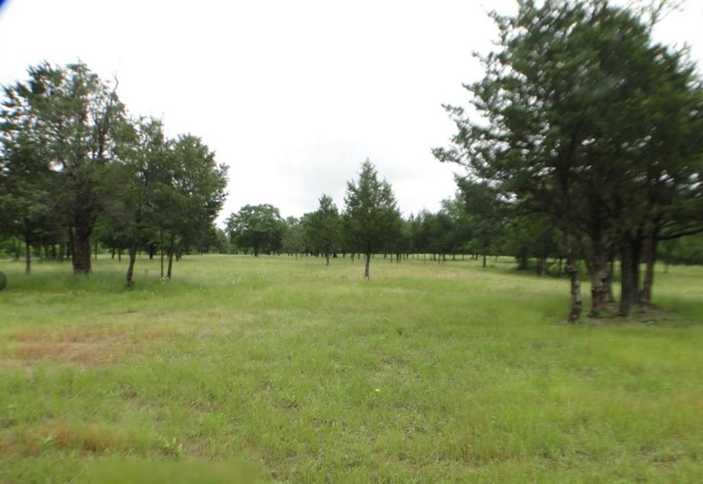 11011 Hiram Road Terrell, TX 75161 - Photo 13 of 15 a view of outdoor space with trees all around