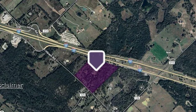 a close up of a plant