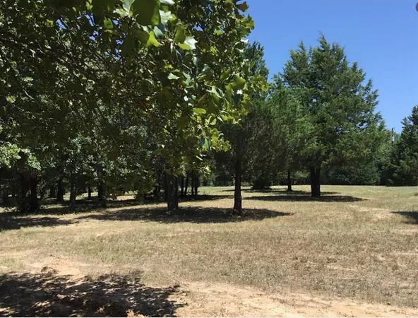 a view of outdoor space with trees