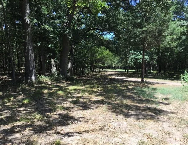 a view of a large tree with a yard