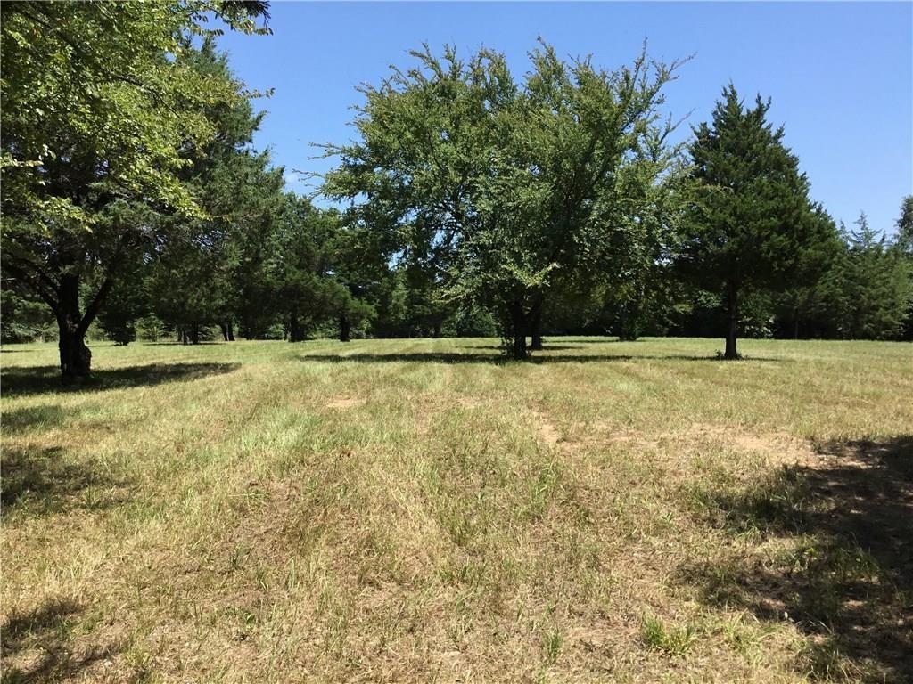 11011 Hiram Road Terrell, TX 75161 - Photo 7 of 15 a view of a large tree with a yard